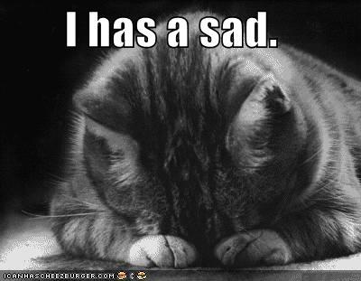 Sad Faced Cat