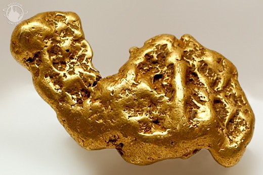 = Camel Gold Nugget = Features: Weight 9,3 kg (20,5 lb); Assay 863,4 Origin: found in Kolyma in 1947 Russia's most important gold nuggets are allotted for permanent safe-keeping to Gokhran and the most interesting and unusual are kept in glass cases in the Diamond Fund display. Some Named Gold nuggets have been fashioned by nature into familiar forms that are immediately recognizable, such as the single-humped Camel.