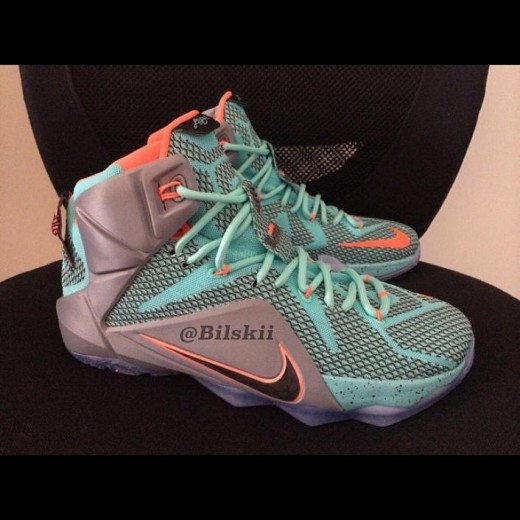 lebron twelves shoes