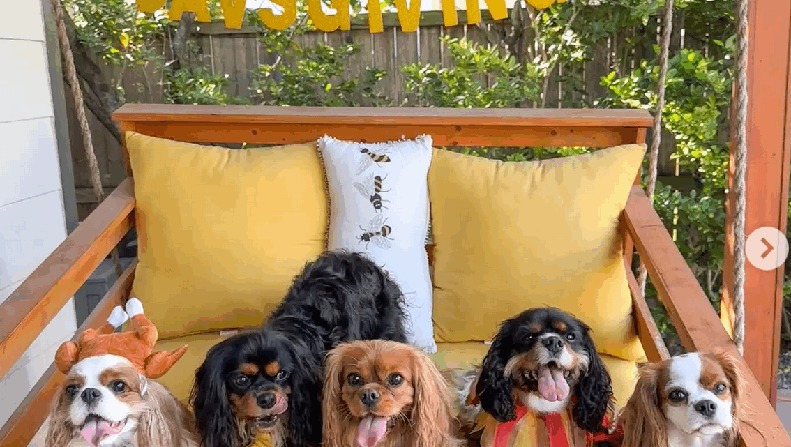 Podcast 320: Cavsgiving