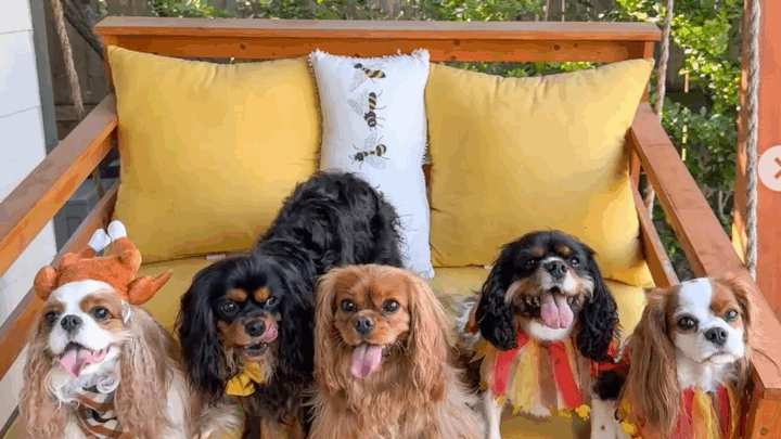 Podcast 320: Cavsgiving