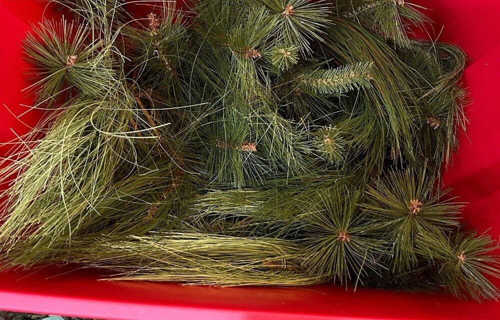 Podcap: Cleveland 139, Charlotte 132 (or, Who Needs Garland Anyway? (maybe the Cavs)) — plus Live Thread.