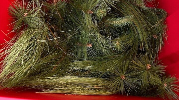 Podcap: Cleveland 139, Charlotte 132 (or, Who Needs Garland Anyway? (maybe the Cavs)) — plus Live Thread.